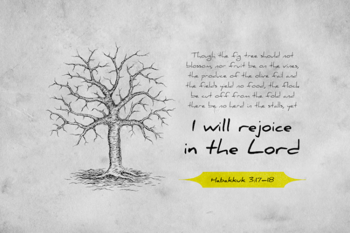 I Will Rejoice in the Lord!